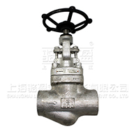 J11W-800LB锻钢不锈钢316截止阀 J11W-800LB锻钢不锈钢316截止阀